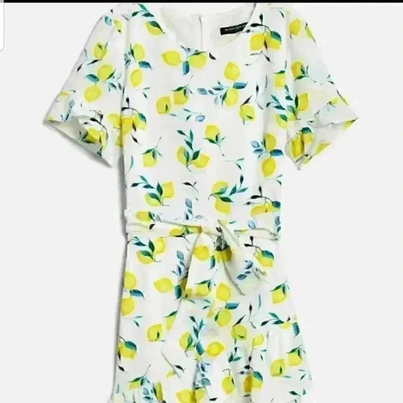 Banana Republic Frill Fit And Flare Lemon Print Dress - Picture 4 of 11